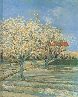 Vincent Van Gogh Orchard in Blossom (nn04) Norge oil painting art
